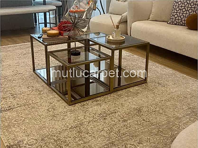 Apex-Aura-2871-Gri-kapak-3